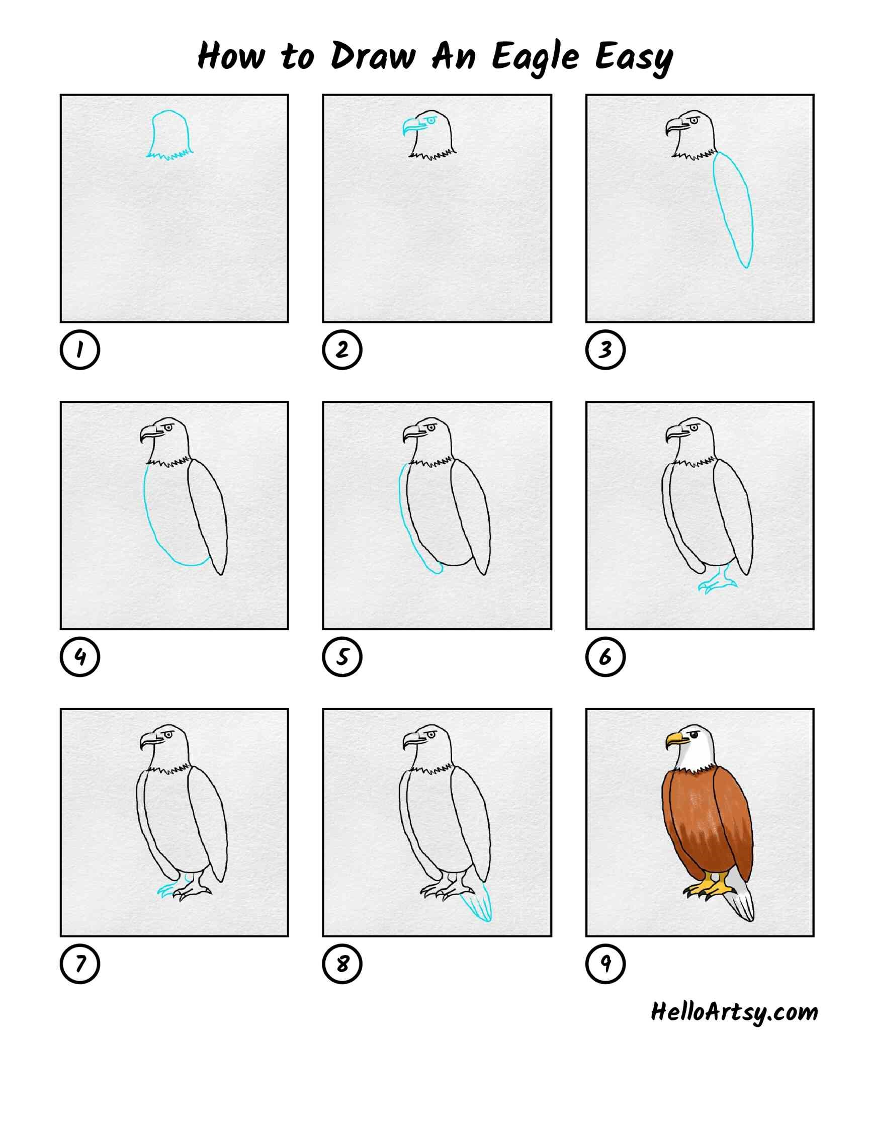 Bald Eagle Drawing | Eagle drawing, Drawing tutorial, Eagle drawing easy