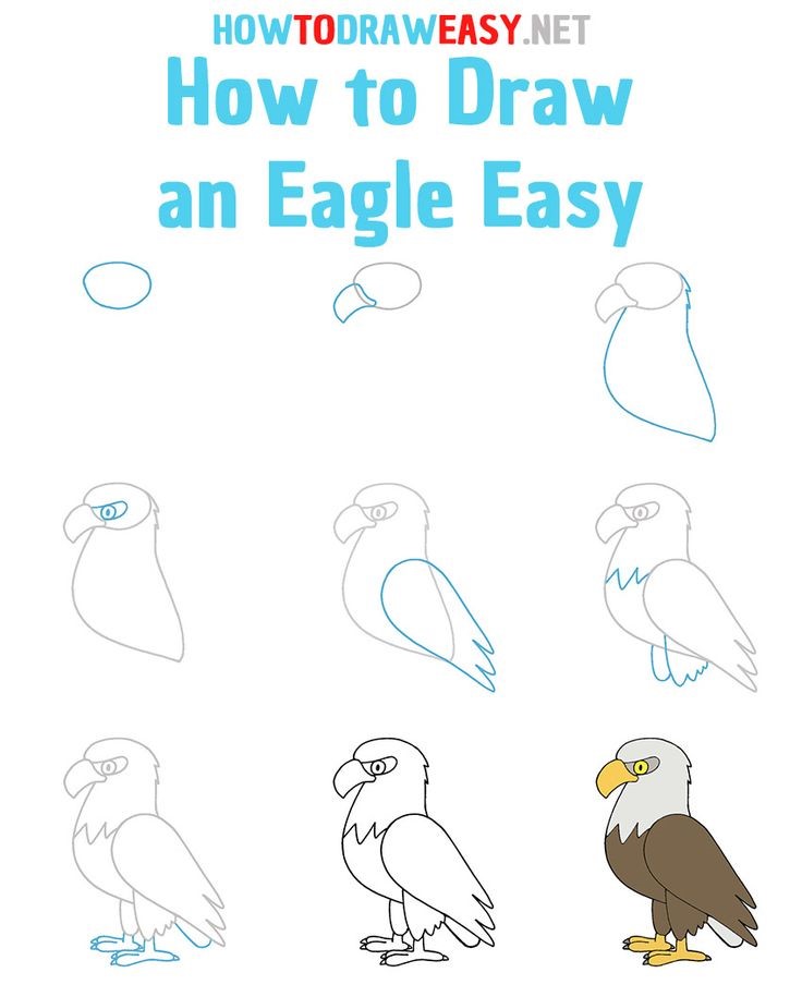 Eagle idea 4 Drawing Ideas