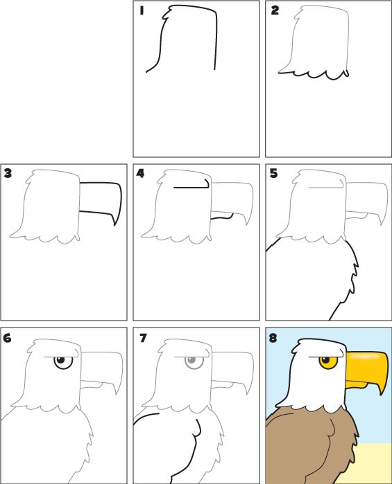 How to draw Eagle idea 6