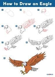 How to draw Eagle idea 8