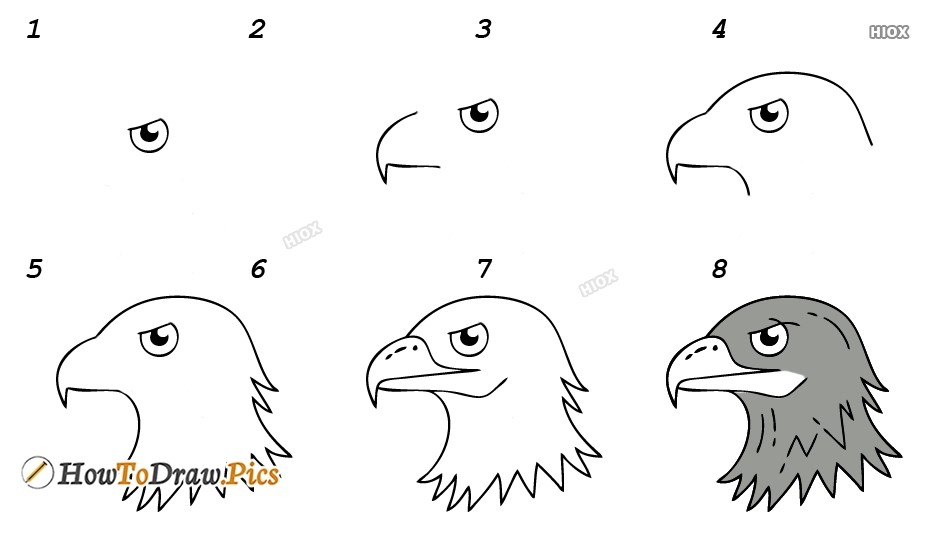 How to draw Eagle’s head