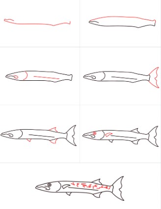 How to draw fish idea 20