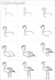 How to draw Flamingo idea 7