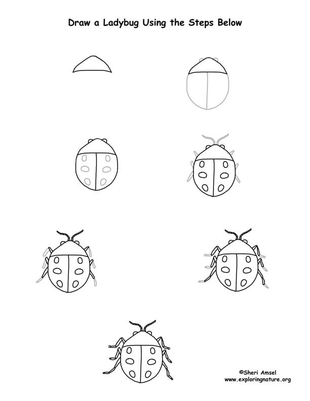 How to draw Ladybug idea 7