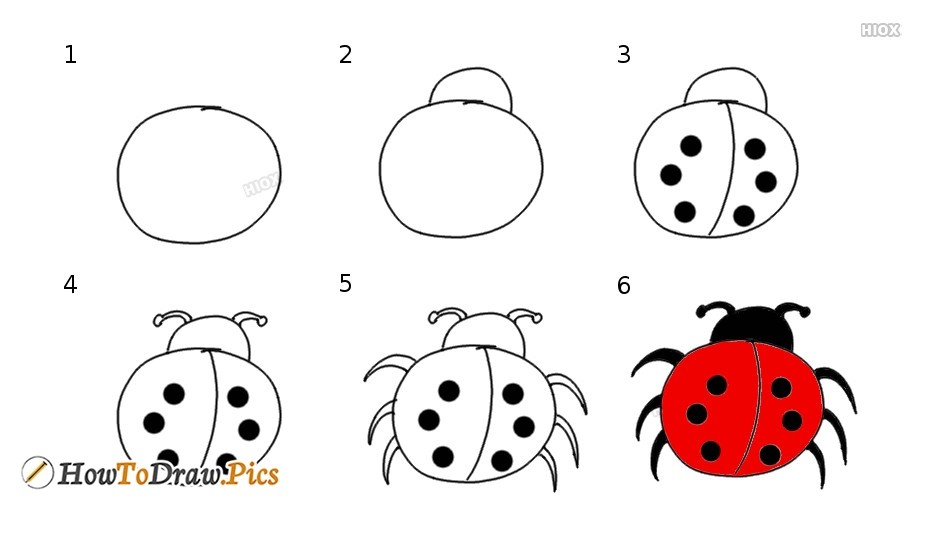 How to draw Ladybug idea 9