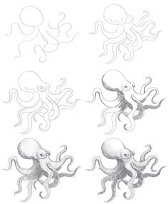 How to draw octopus idea 16