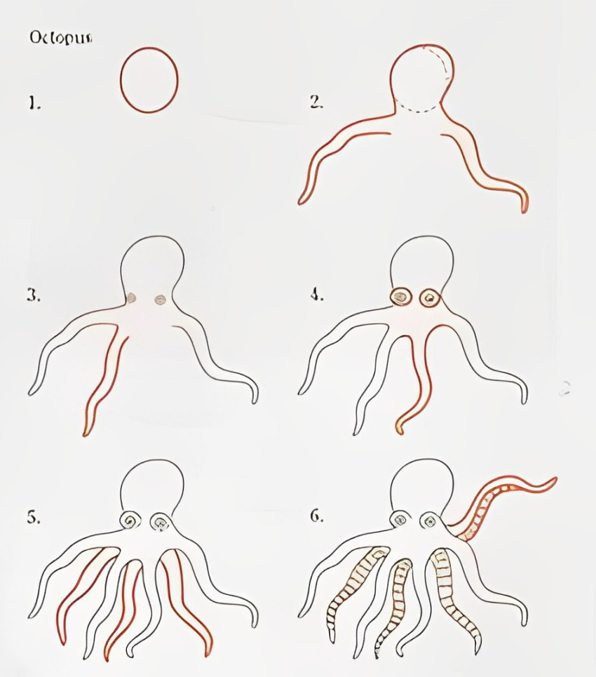 How to draw octopus idea 19