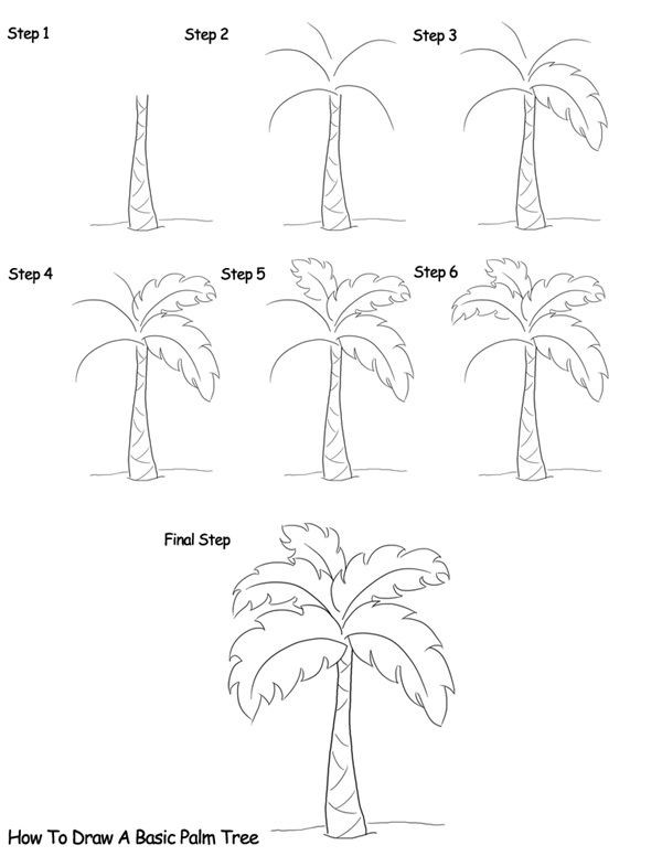 Palm Tree Idea 10 Drawing Ideas