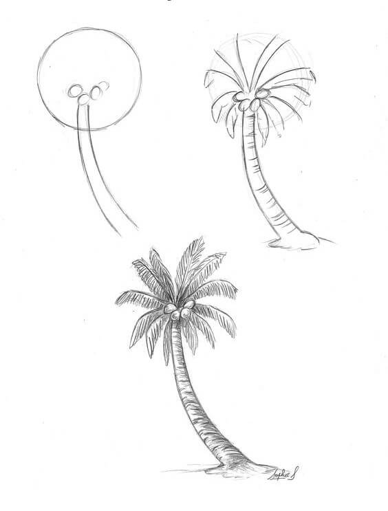 Palm tree idea (14) Drawing Ideas