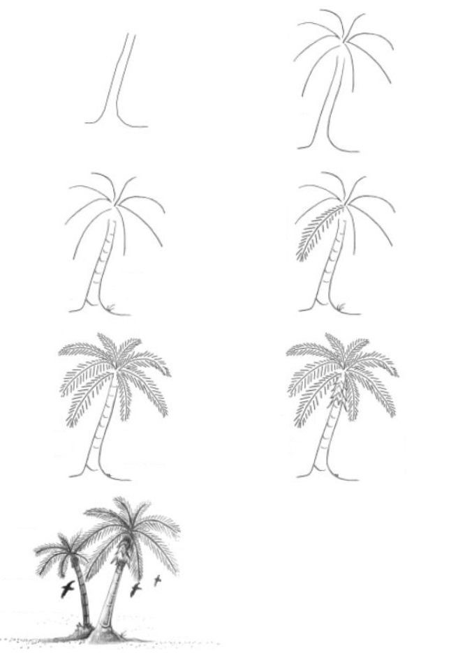 Palm Tree Idea 5 Drawing Ideas