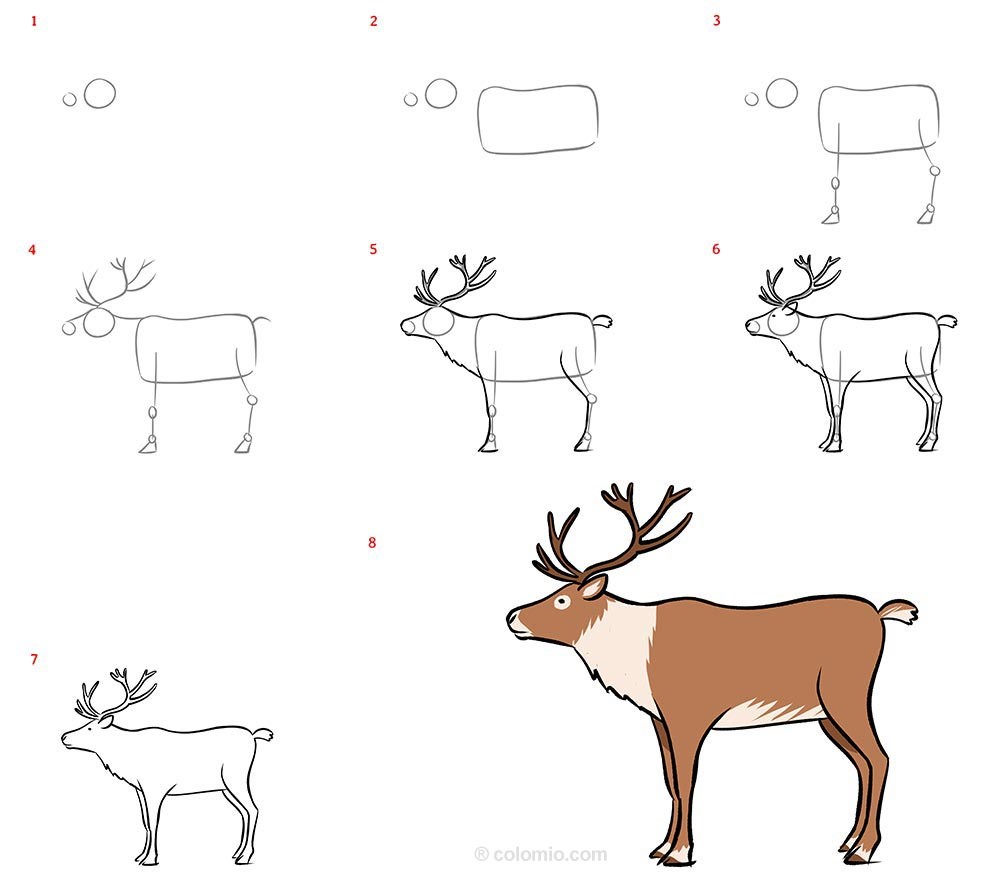 How to draw Reindeer Ideas 5