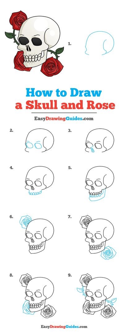 How to draw Skull idea 5