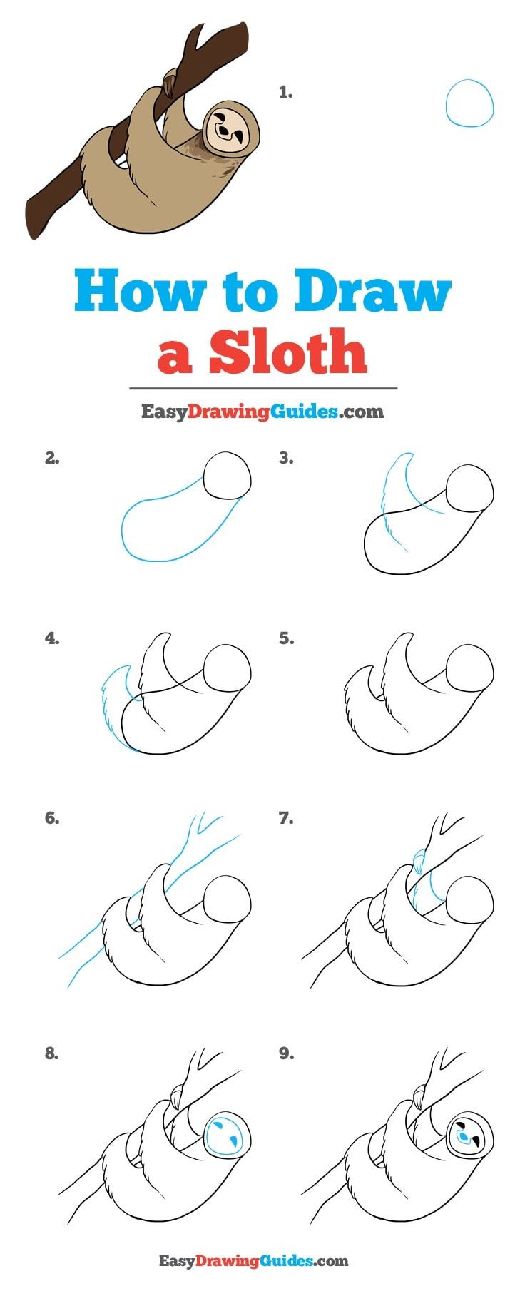 How to draw Sloth idea 5