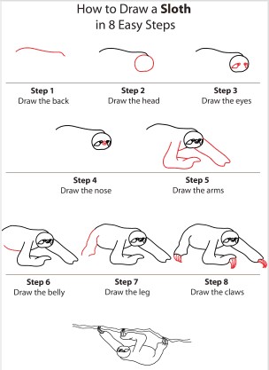 How to draw Sloth idea 7