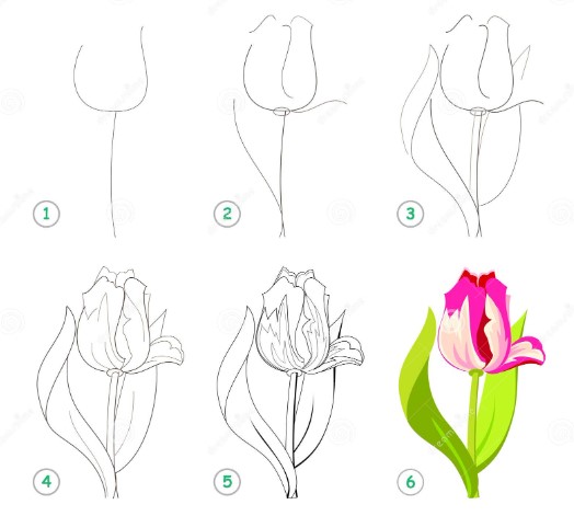 How to draw Tulip idea 10