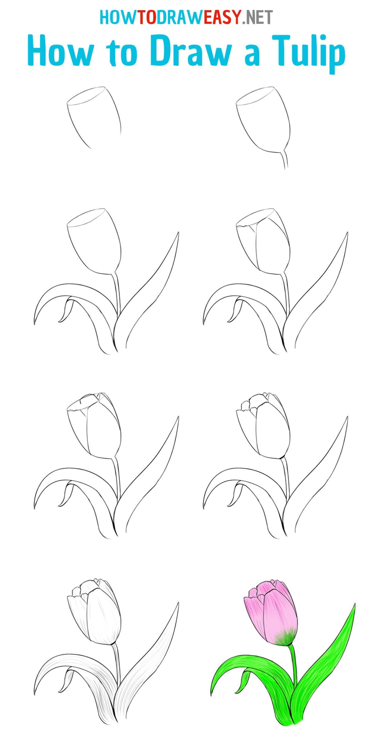 Tulip idea 3 Drawing Ideas