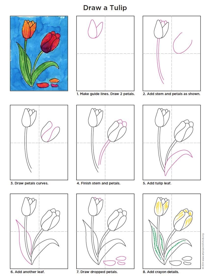 Tulip idea 4 Drawing Ideas