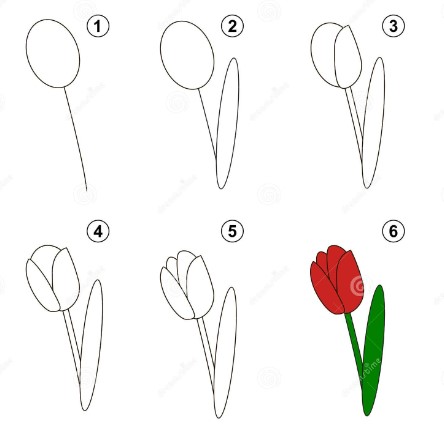 Tulip idea 6 Drawing Ideas
