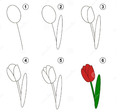 How to draw Tulip idea 6