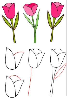 Tulip idea 7 Drawing Ideas