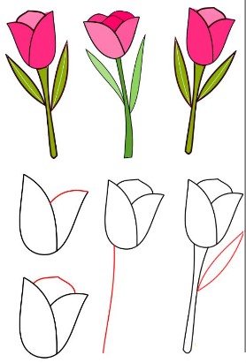 How to draw Tulip idea 7