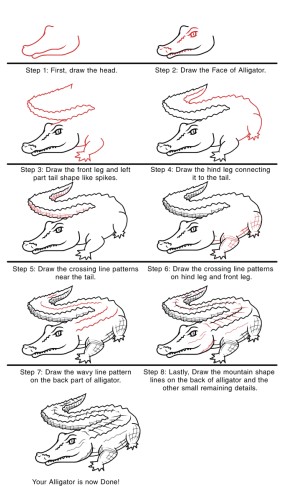 How to draw Alligator Ideas 12