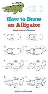 How to draw Alligator Ideas 2