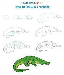 How to draw Alligator Ideas 5