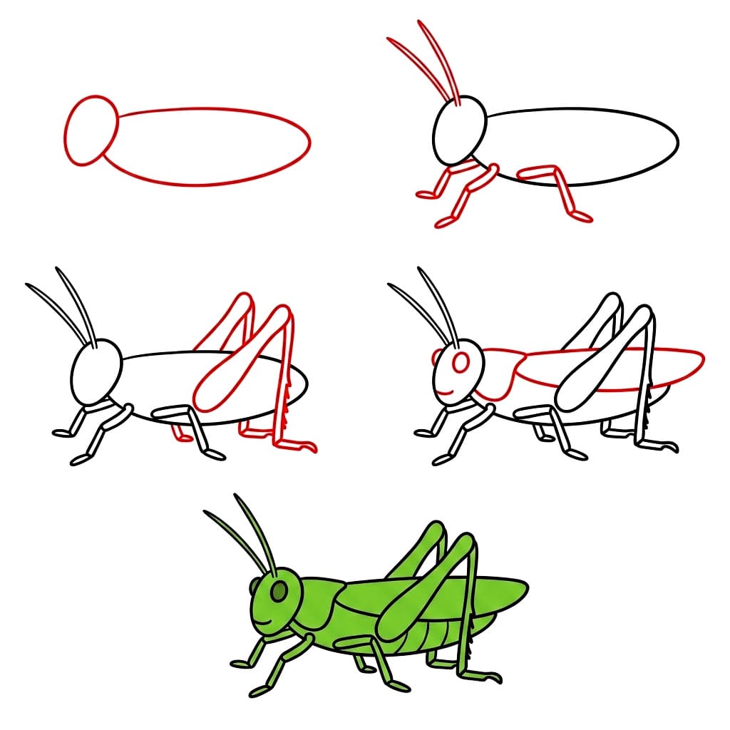 How to draw Basic Grasshopper