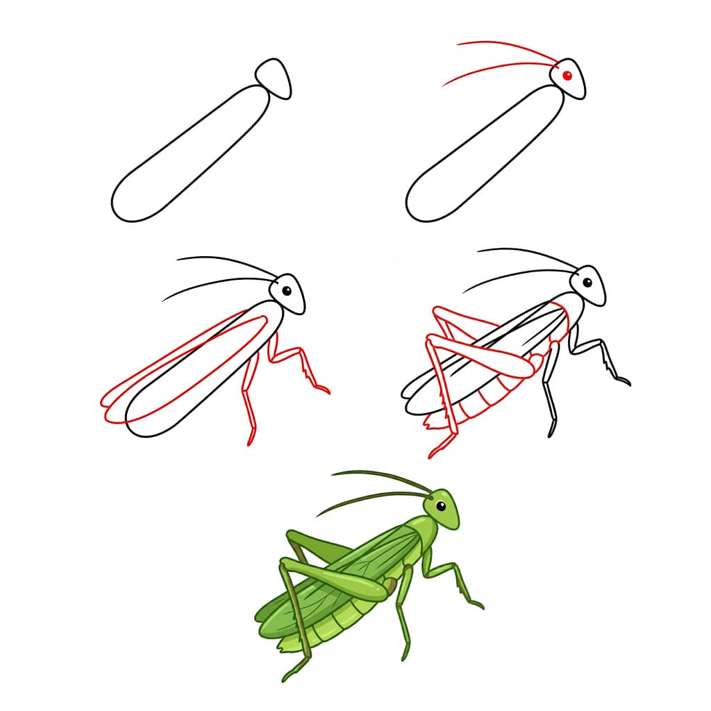 How to draw Calm Grasshopper