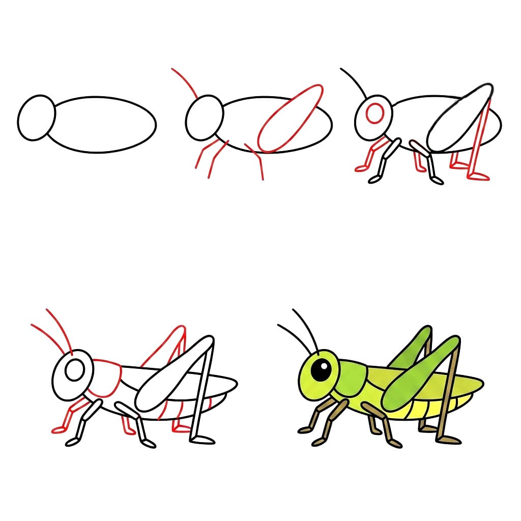 How to draw Cartoon Grasshopper