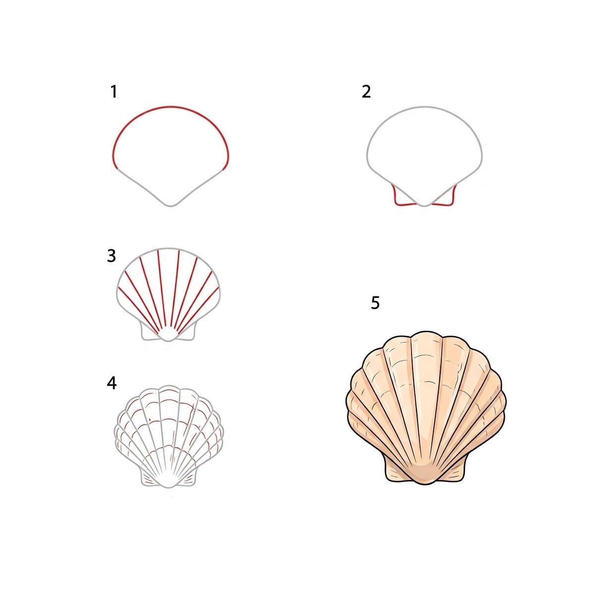 Cute Heart Seashell Drawing Ideas