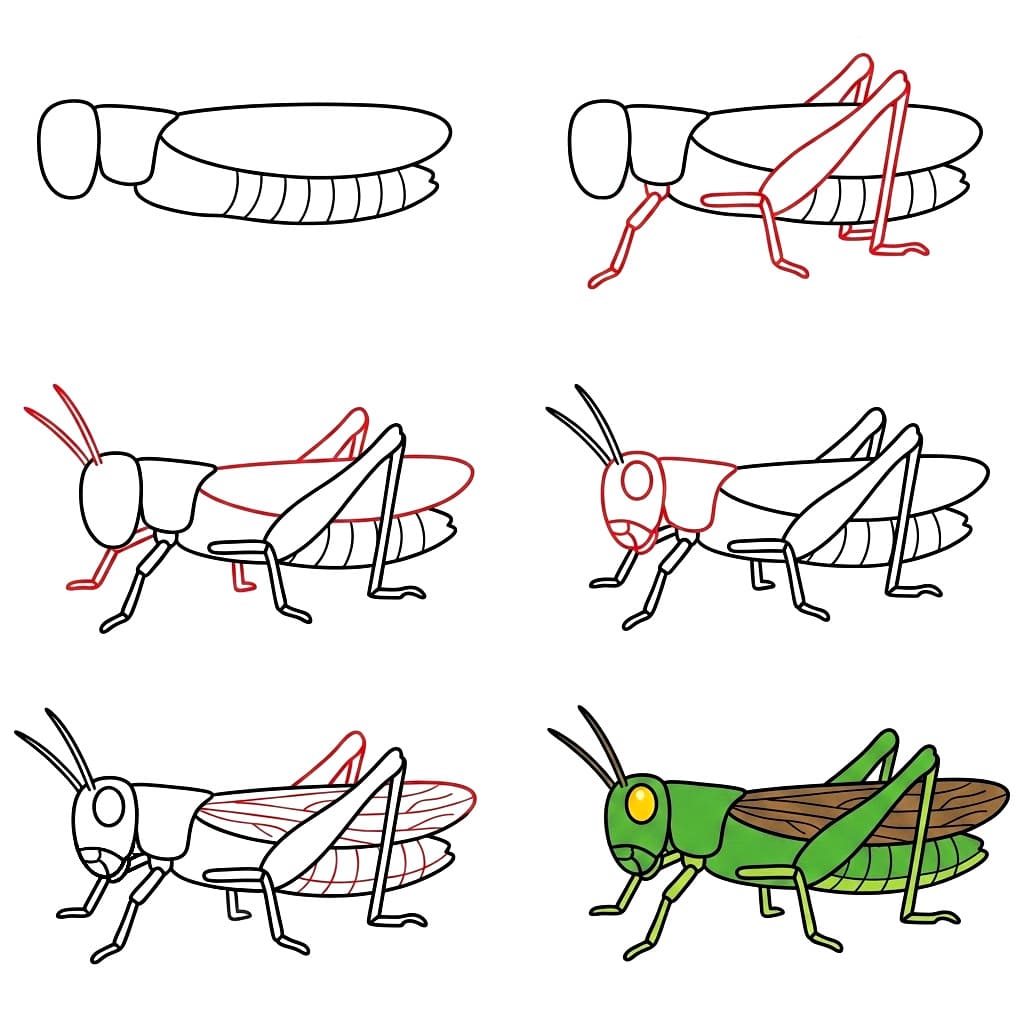 How to draw Detail Grasshopper