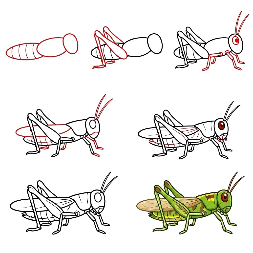 How to draw Draw Grasshopper