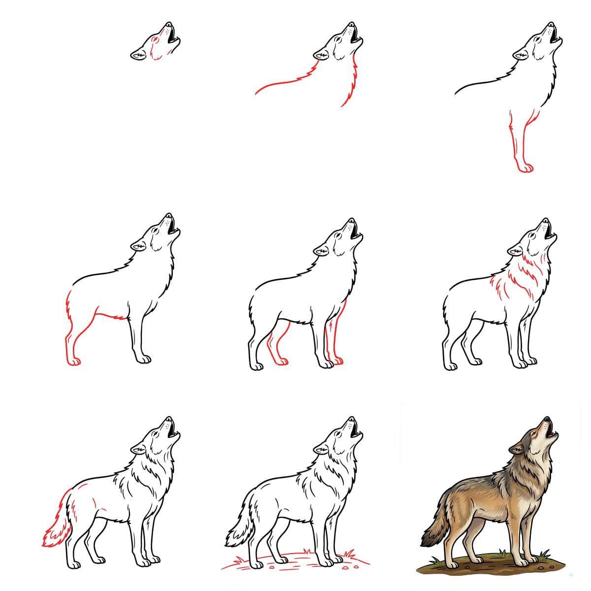 Howling Wolf Drawing Ideas