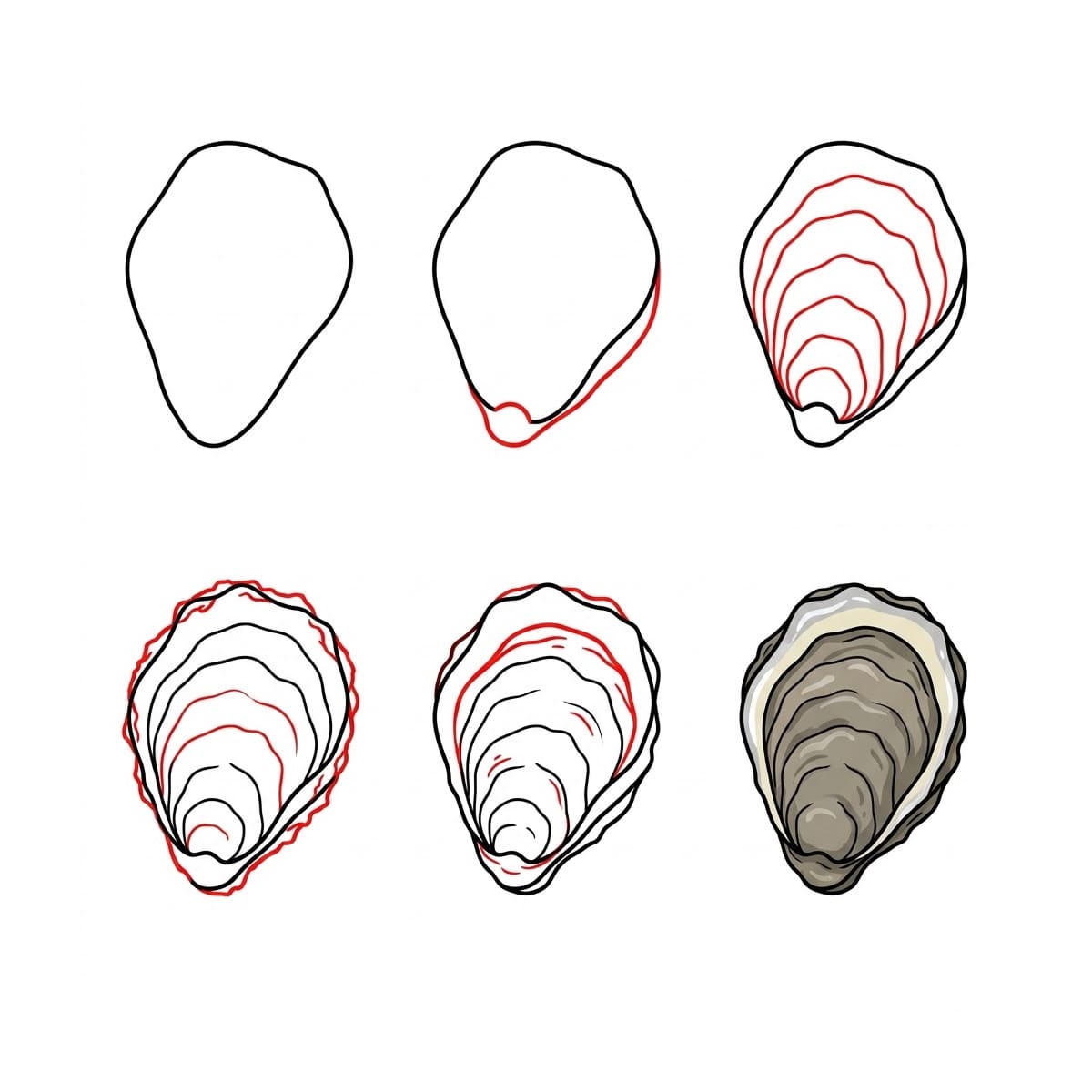Natural Oyster Seashell Drawing Ideas