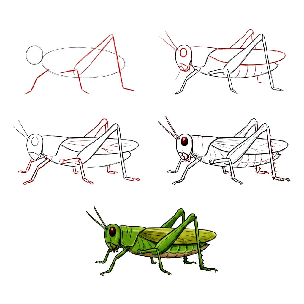 How to draw Nice Grasshopper
