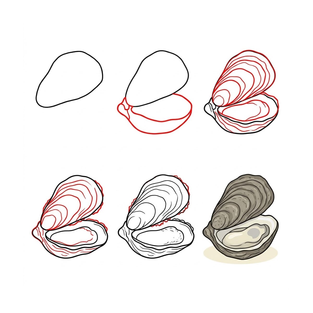 Open Oyster Seashell Drawing Ideas
