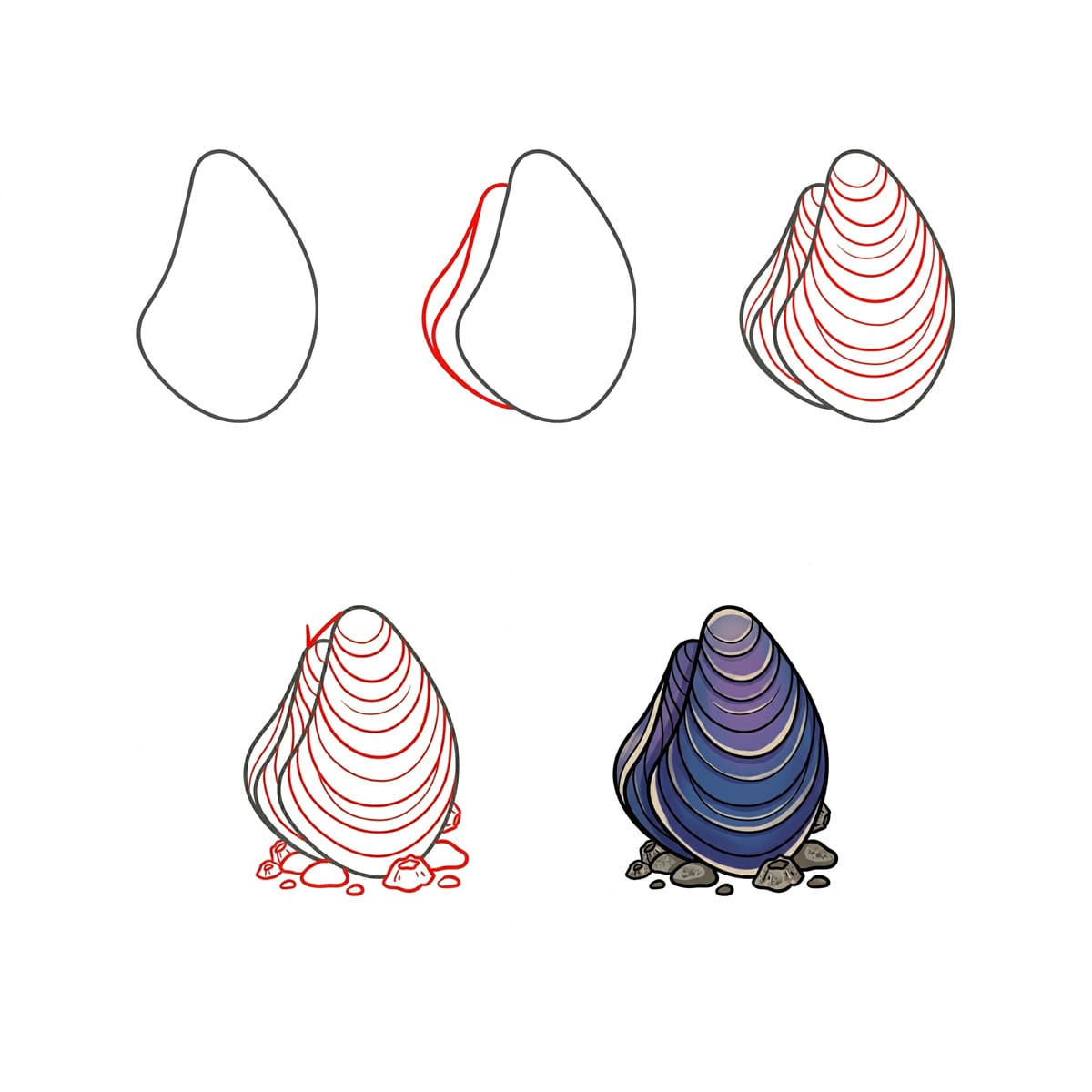 Pointed Mussel Seashell Drawing Ideas