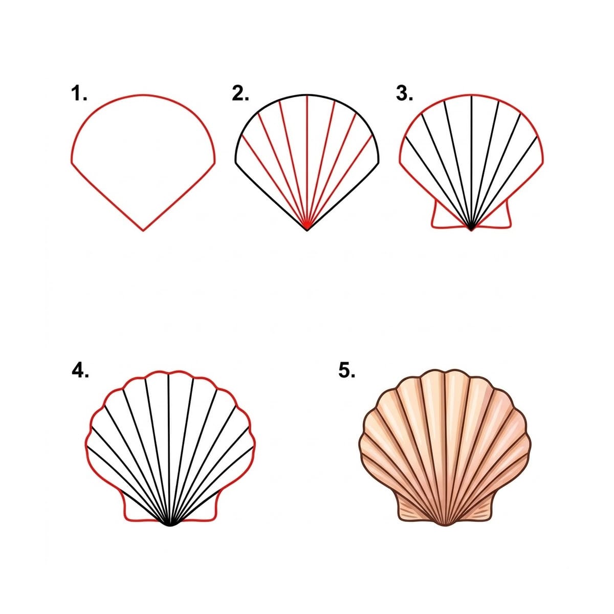 Pretty Ridge Seashell Drawing Ideas