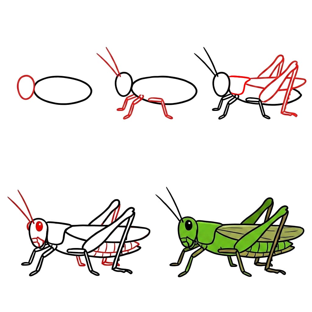 How to draw Realistic Grasshopper