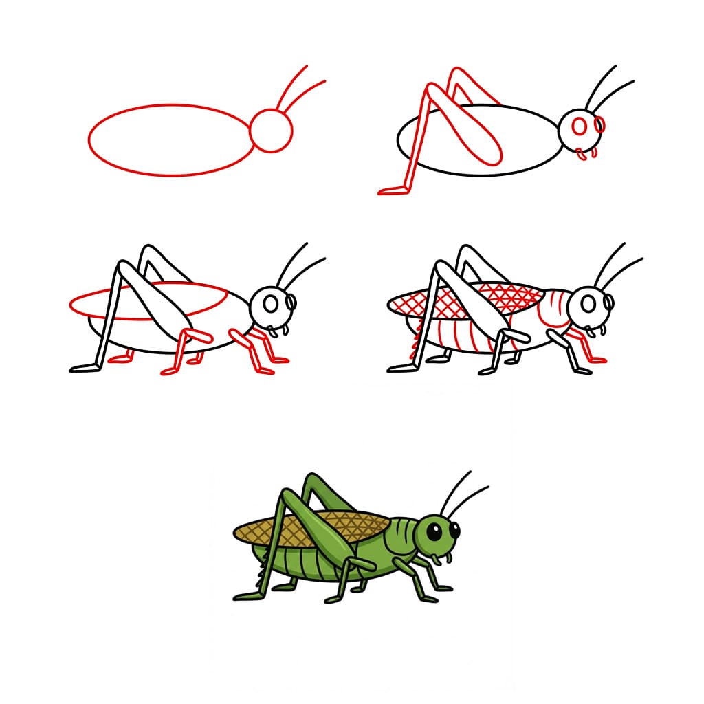 How to draw Simple Grasshopper