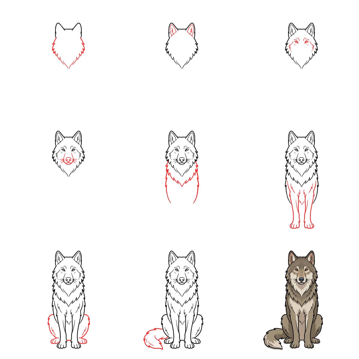 Sitting Wolf Drawing Ideas