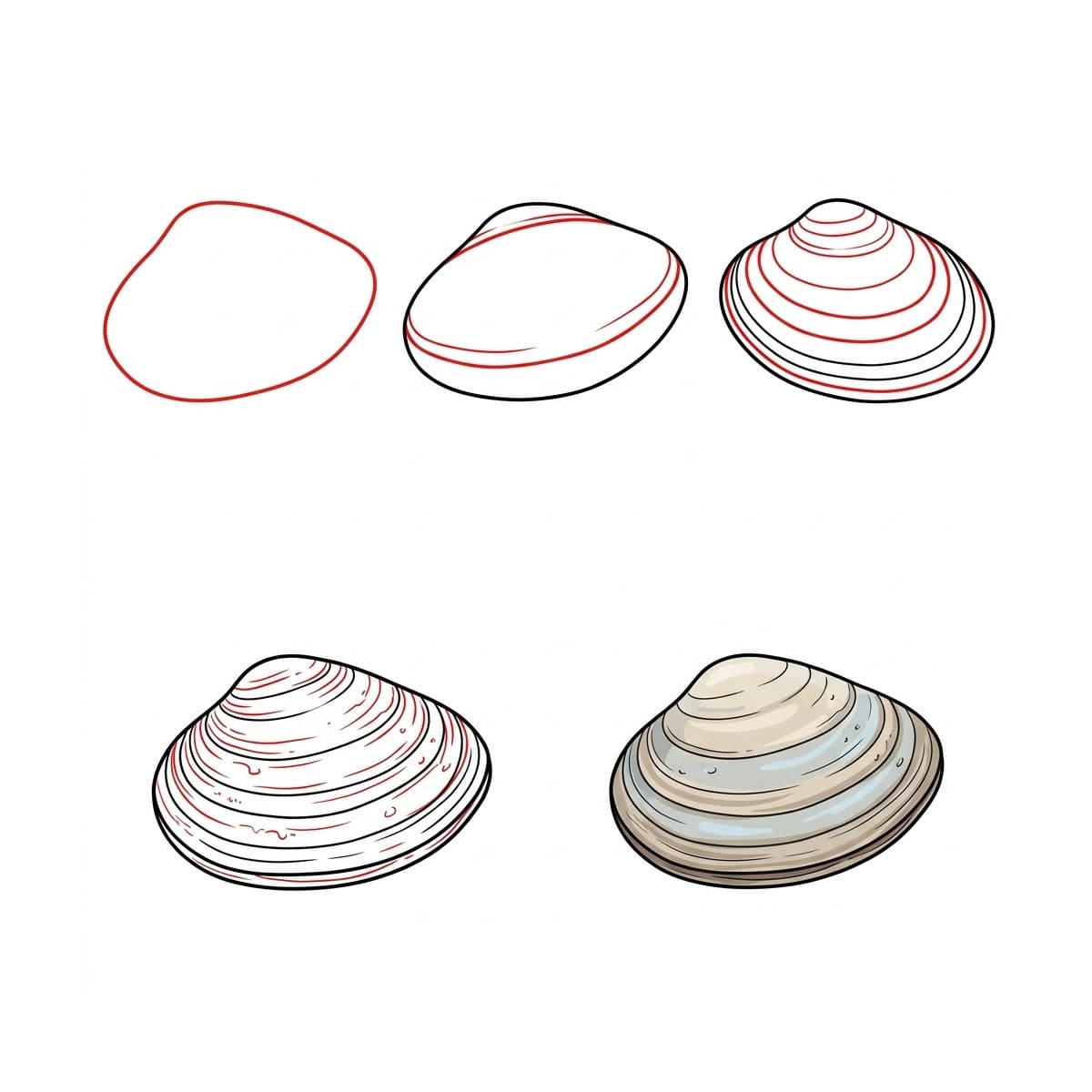 Thick Clam Seashell Drawing Ideas