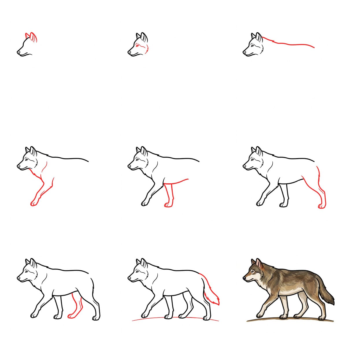 Walking Wolf Drawing Ideas