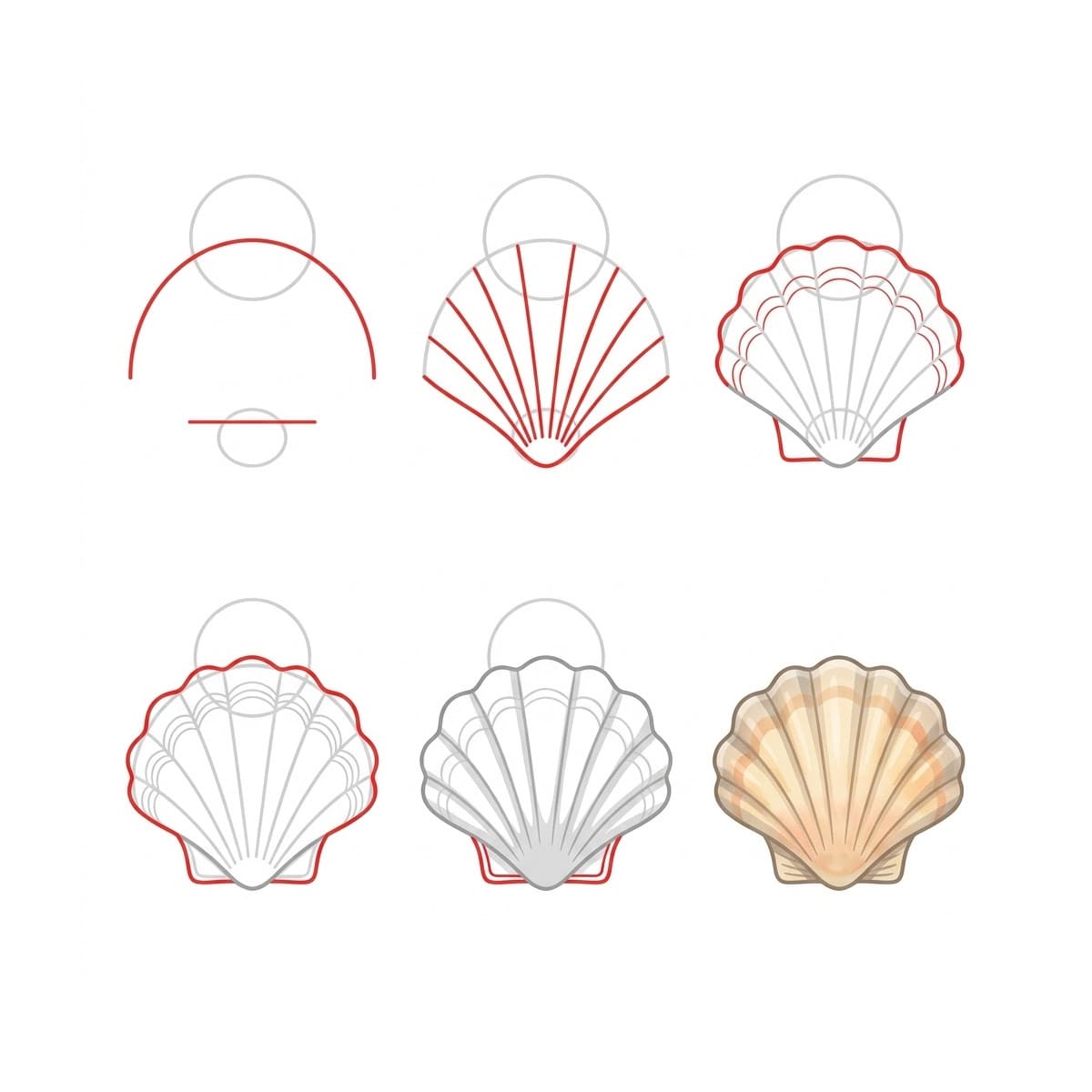 Wavy Scallop Seashell Drawing Ideas
