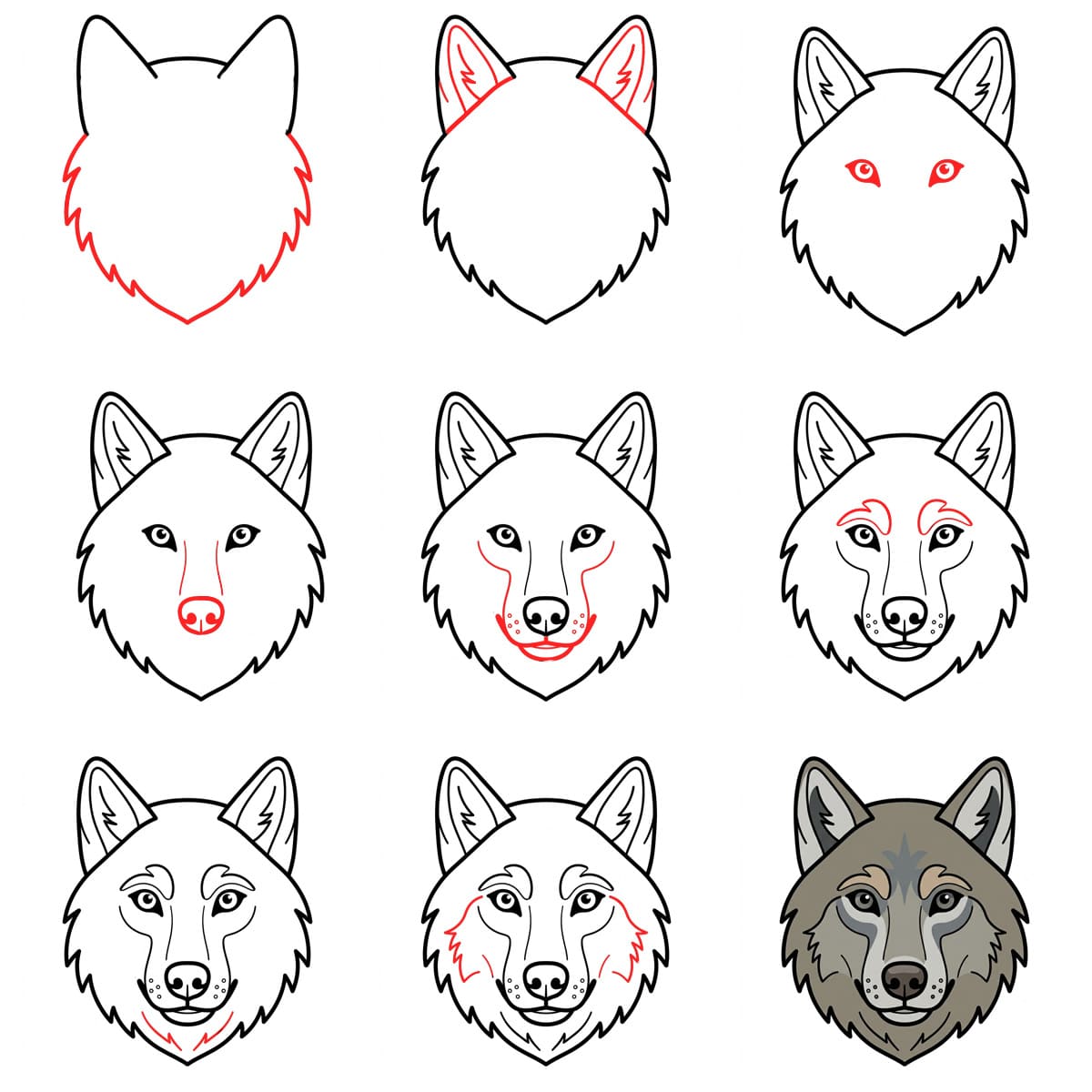 Wolf Face Drawing Ideas