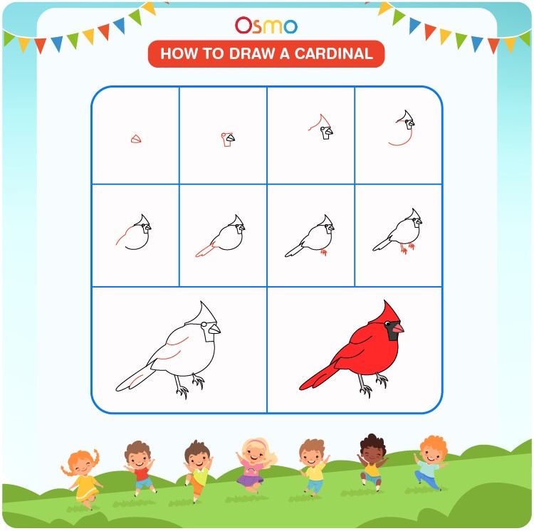 How to draw A cute Cardinal