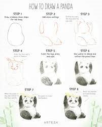 A detailed panda step by step Drawing Ideas