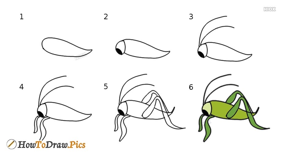 A simple grasshopper Drawing Ideas